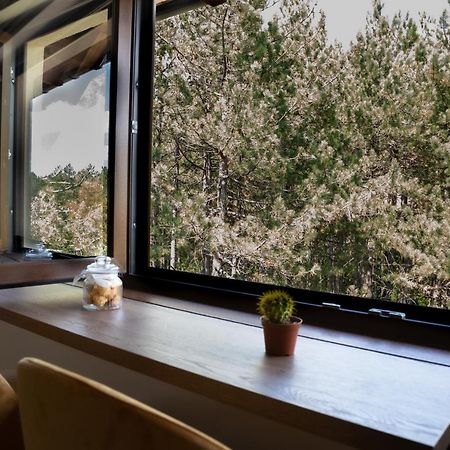 Zlatibor Apartman & Spa Casa Perfetta Exteriör bild